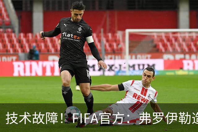 技术故障！FIFA官方：弗罗伊勒造点没有越位 瑞士进球无异议